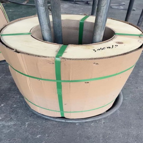 Soft-state stainless steel wire